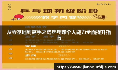 从零基础到高手之路乒乓球个人能力全面提升指南